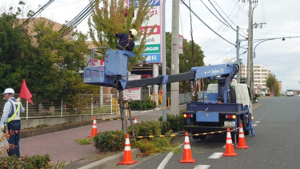 高所作業車を使って樹木の剪定中