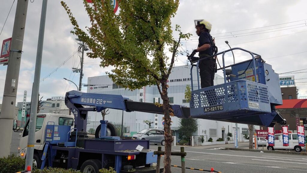 高所作業車を使って樹木の剪定中